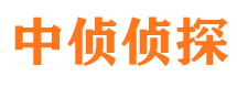 临潭找人公司